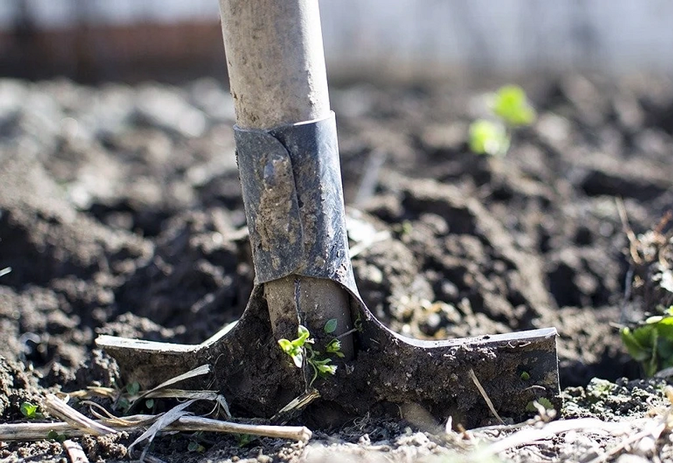Jesienne przygotowanie ogrodu: ochrona roślin przed mrozem i odpowiednie nawożenie