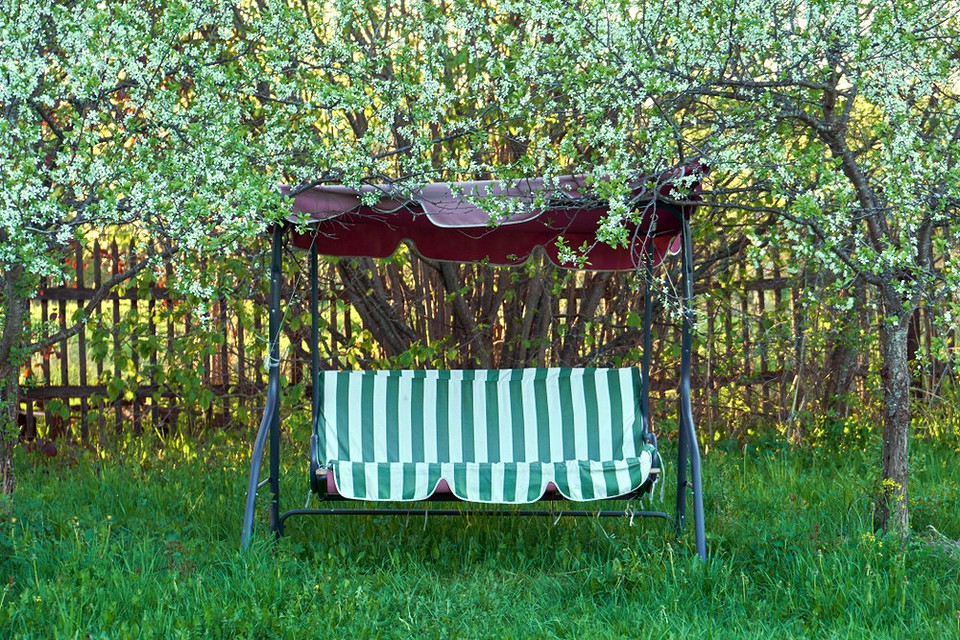 Jesienne przygotowanie do zimy: nawożenie, ochrona i sadzenie roślin wieloletnich