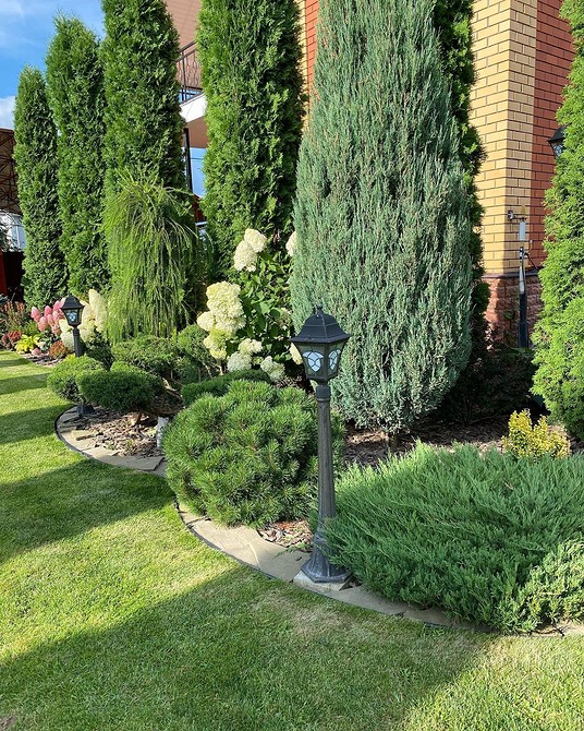 Nowoczesny ogród 2026: klomb z iglakami i korą dekoracyjną, rośliny zimozielone.