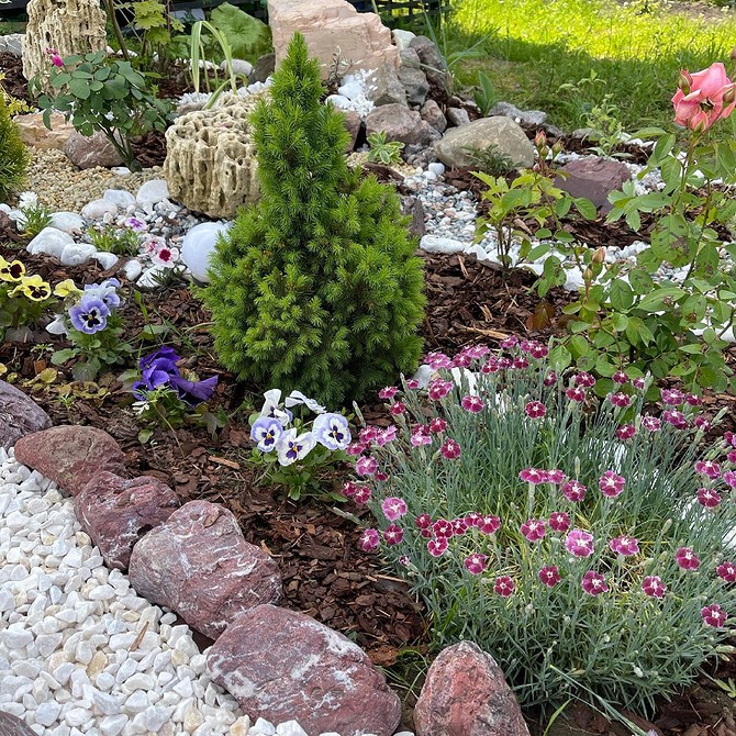 Mała klomba iglasta Klomby z roślinami iglastymi na małej działce: kompaktowe rozwiązania ogrodowe