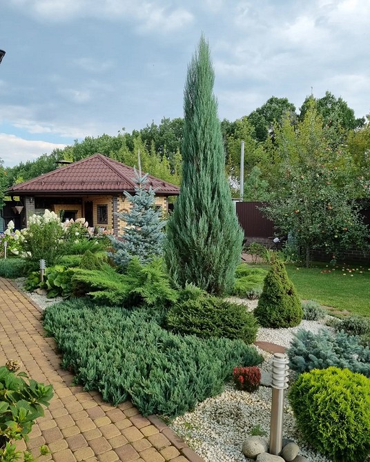 Kompaktowy projekt klombu iglastego na małej działce: oszczędność miejsca