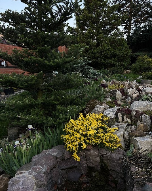 Iglaki 2026 Nowoczesny krajobraz 2026 z klombą z roślin iglastych: stylowe inspiracje