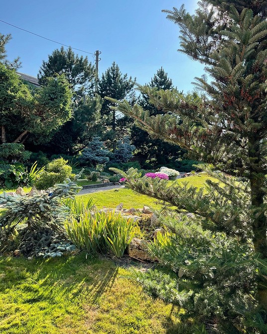 Klomby z roślin iglastych: łatwe w pielęgnacji rozwiązanie do ogrodu