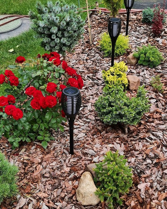 Rockery z iglakami Rockery z roślin iglastych, przedstawiające tworzenie malowniczego kamiennego ogrodu w roku 2026.