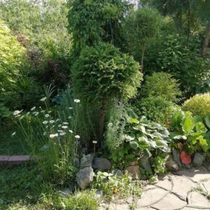 Idealne rabaty iglaków i bylin: Porady eksperta na cały rok — Klumby z roślin iglastych i kamieni DIY