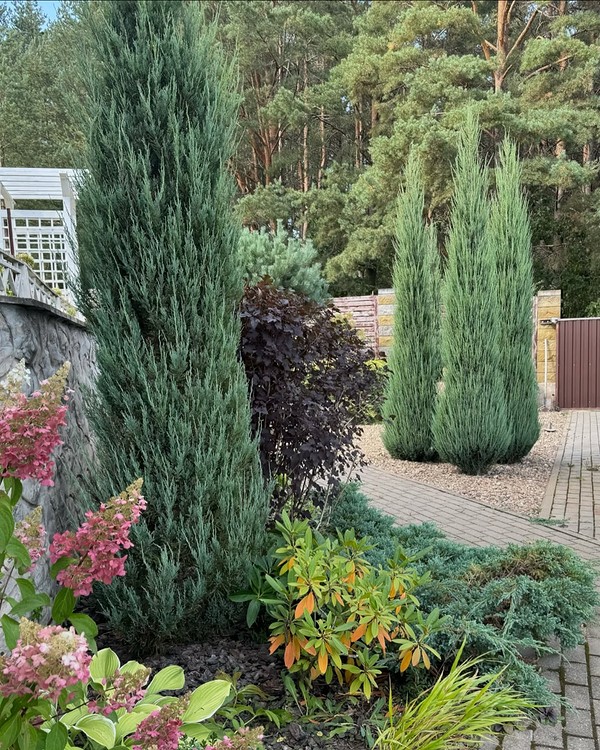 Klomby z roślin iglastych z kwiatami: harmonijne połączenie w ogrodzie naturalistycznym.