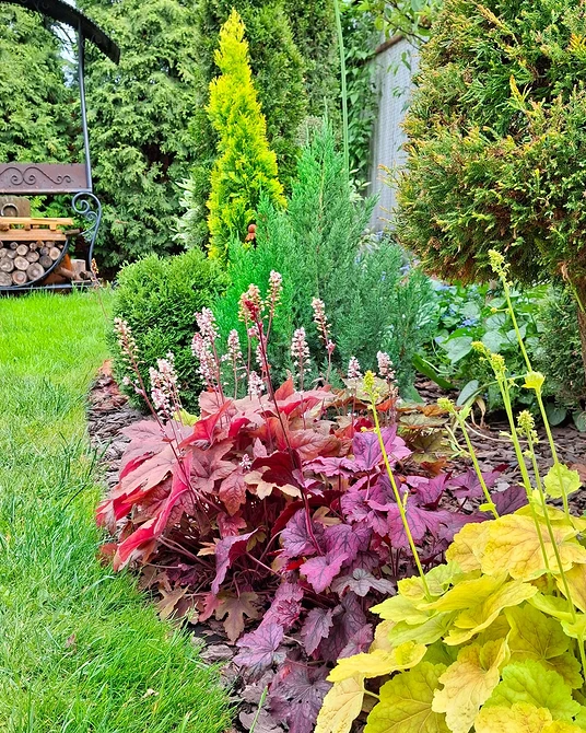 Klumby iglaste Projekt klumby iglastej z bylinami na małej działce: inspiracje na 2026 rok