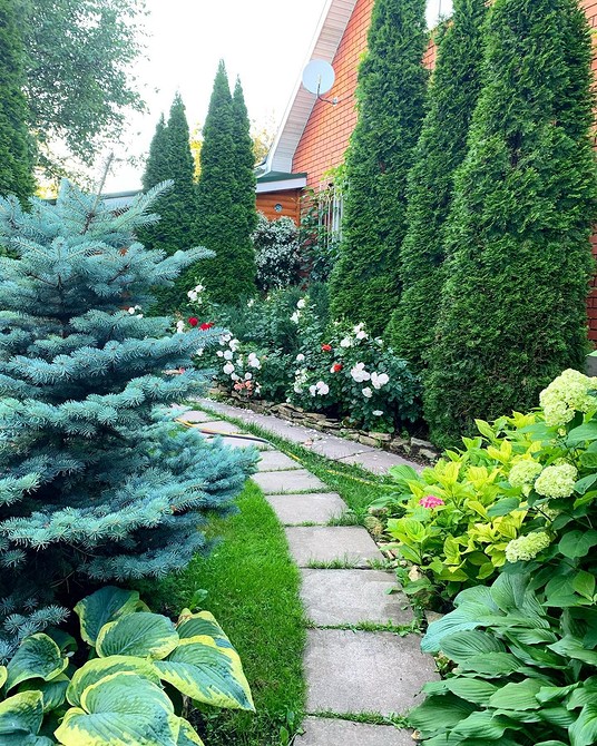 Iglaki DIY Oryginalna klomba z roślinami iglastymi DIY: krok po kroku i inspiracje