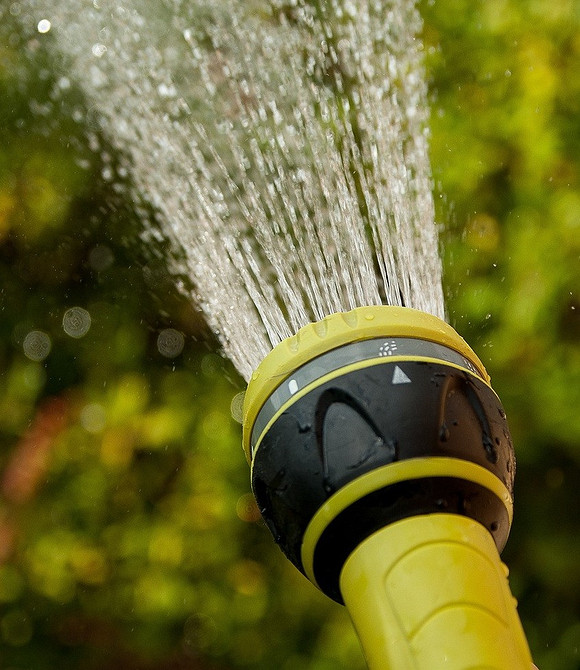 Co robić, gdy kabaczki zaczynają gnić: skuteczne sposoby walki z gniciem.