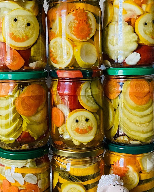 Przyczyny gnicia cukinii Dlaczego cukinia gnije w otwartym gruncie: pięć głównych przyczyn i rozwiązania problemu.