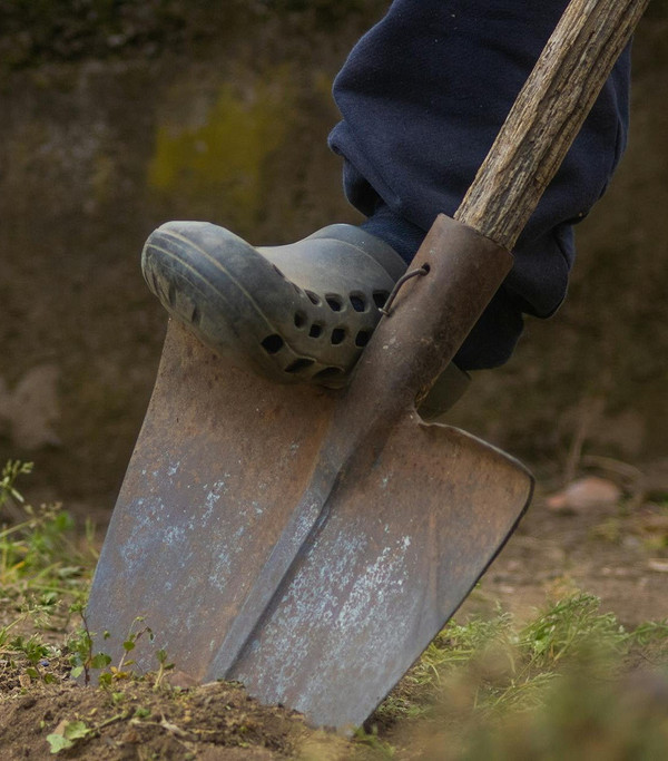 Przygotowanie gleby pod jabłoń jesienią: klucz do obfitych plonów w 2026 roku.