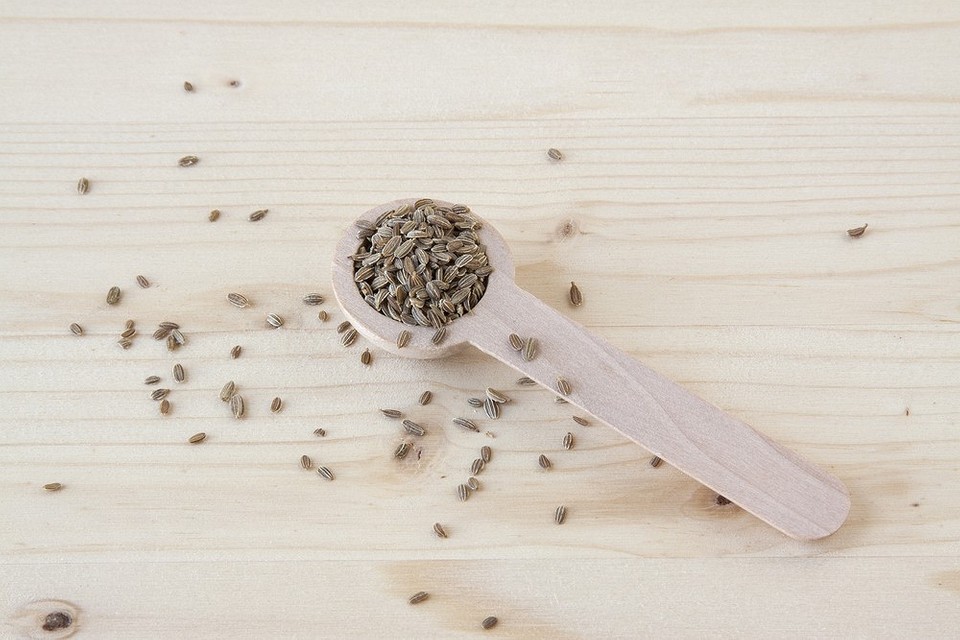 Szybki siew marchwi Siew marchwi na papierze toaletowym: szybki sposób na obfite plony w 2026