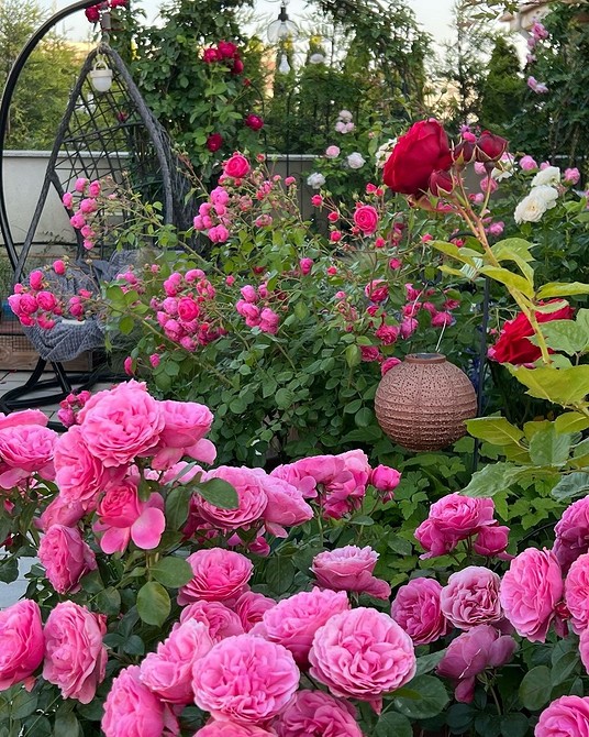 Bukiet z Floribundy Elegancki bukiet z róż Floribunda: piękno i różnorodność kolorów.