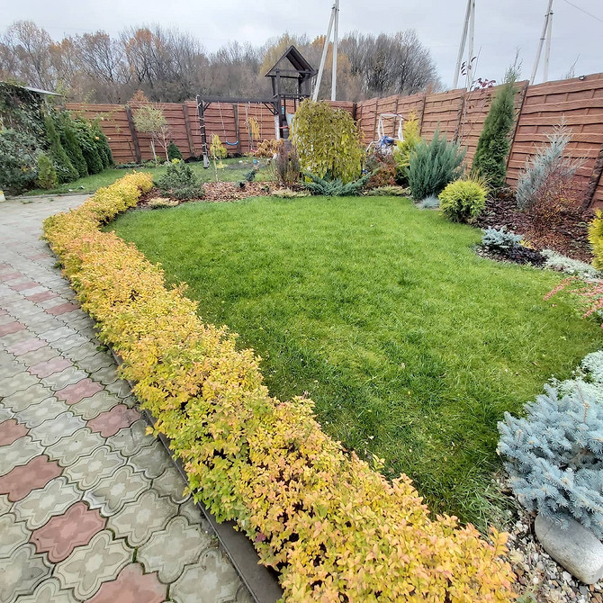 Kwitnące rabaty z tawułą: projekt i inspiracje na piękny ogród w 2026.