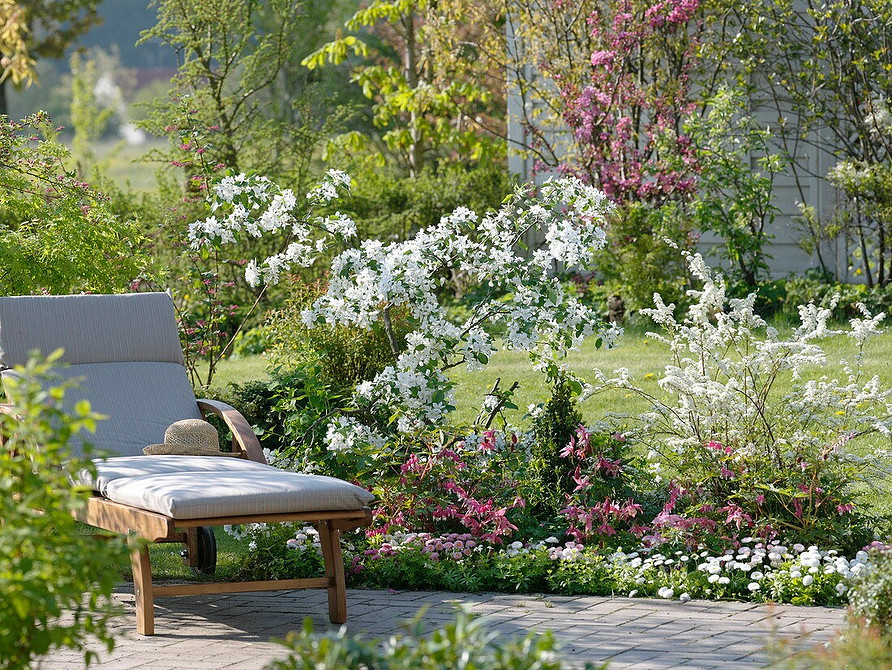 Niskie odmiany tawuły: inspiracje na 2026 rok do małych ogrodów i rabat.