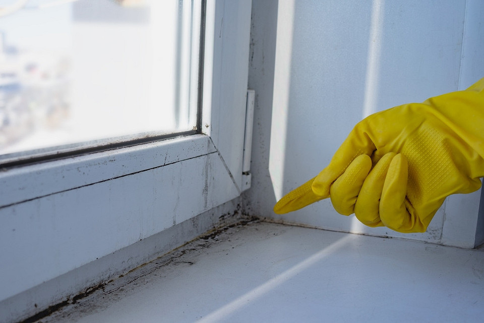 Aplikacja farby na okna PCV: równomierne nakładanie dla idealnego efektu