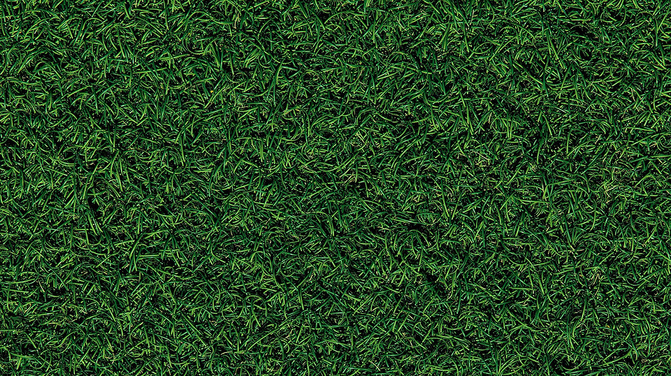 Porównanie różnych modeli kosiarek do trawy dostępnych na rynku. Analiza parametrów.