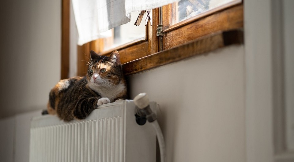 Kiedy rozpocznie się sezon grzewczy 2026? Ilustracja przedstawia dom w zimowym krajobrazie.