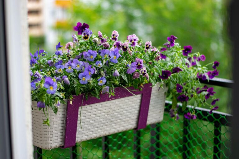 Kwiaty na Mały Balkon: Jak Wybrać Idealne Rośliny? — новини дизайну та інтер’єру