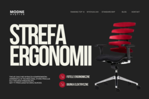 Ergonomia w Domowym Biurze: Komfort i Produktywność na Pierwszym Miejscu