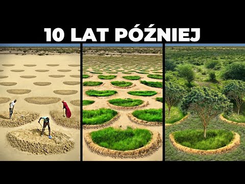Wielki Zielony Mur: Jak Afryka walczy z pustynią? - 23 - RoomNews